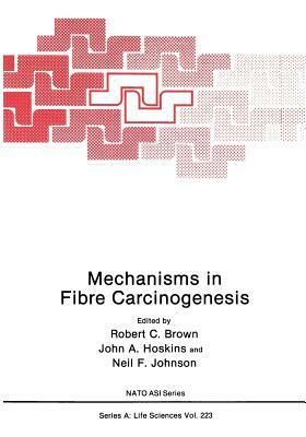 Mechanisms in Fibre Carcinogenesis by 