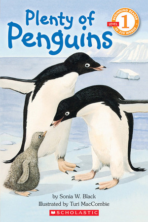 Plenty of Penguins by Turi MacCombie, Sonia Black