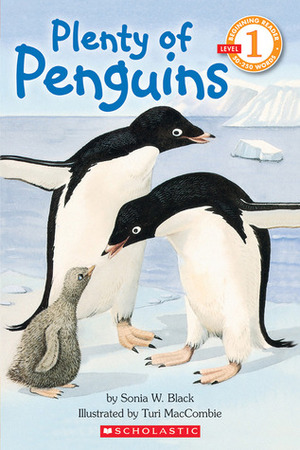 Plenty of Penguins by Sonia Black, Turi MacCombie