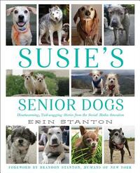 Susie's Senior Dogs by Erin Stanton