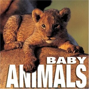 Baby Animals by Angela S. Ildos