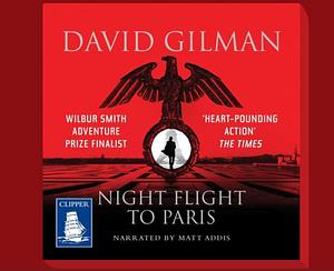 Night Flight to Paris by David Gilman