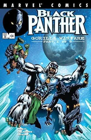 Black Panther #34 by Sal Velluto, Christopher J. Priest, Jim Calafiore