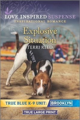 Explosive Situation by Terri Reed