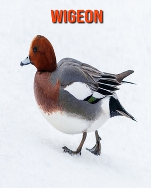 Wigeon: Learn About Wigeon and Enjoy Colorful Pictures by Matilda Leo