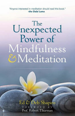 The Unexpected Power of Mindfulness & Meditation by Ed Shapiro, Deb Shapiro