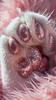 badkat7's profile picture