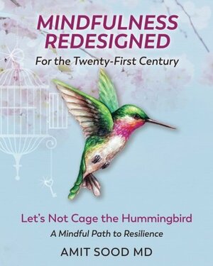 Mindfulness Redesigned for the Twenty-First Century: Let's Not Cage the Hummingbird A Mindful Path to Resilience by Amit Sood