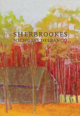 Sherbrookes by Nicholas Delbanco