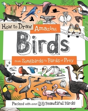How to Draw Amazing Birds: From Songbirds to Birds of Prey by 