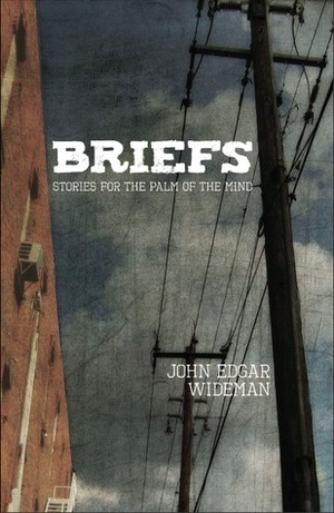 Briefs: Stories for the Palm of the Mind by John Edgar Wideman