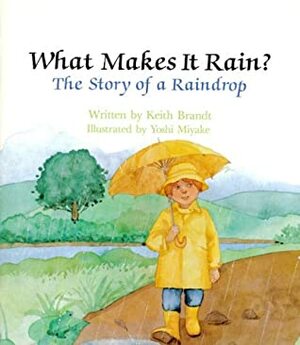 What Makes It Rain? The Story of a Raindrop by Yoshi Miyake, Keith Brandt