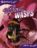 Bees and Wasps by Sally Morgan