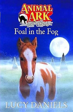 Foal in the Fog by Lucy Daniels