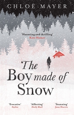The Boy Made of Snow by Chloe Mayer