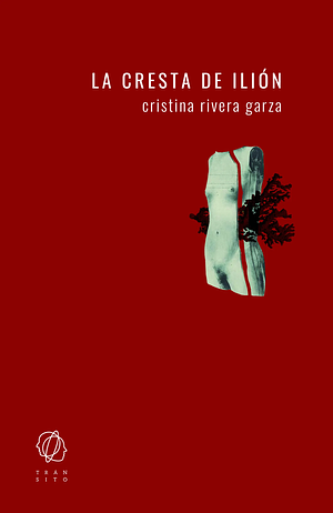 La cresta de Ilión by Cristina Rivera Garza