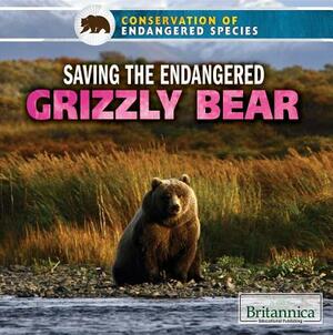 Saving the Endangered Grizzly Bear by Justine Ciovacco