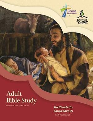 Adult Bible Study (Nt1) by Concordia Publishing House