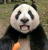 wstll_'s profile picture