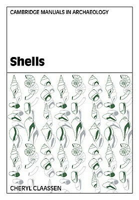 Shells by Cheryl Claassen