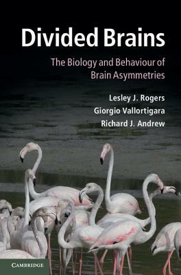 Divided Brains: The Biology and Behaviour of Brain Asymmetries by Giorgio Vallortigara, Richard J. Andrew, Lesley J. Rogers