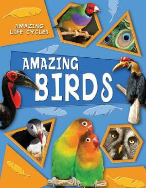 Amazing Birds by Brenda Williams