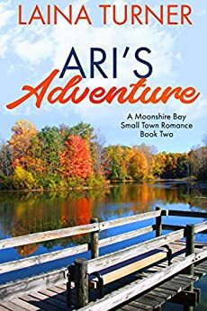 Ari's Adventure by Laina Turner
