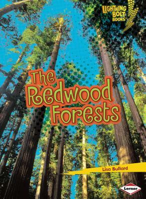 The Redwood Forests by Lisa Bullard