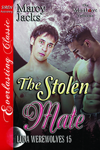 The Stolen Mate by Marcy Jacks