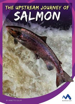 The Upstream Journey of Salmon by Annette Gulati