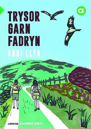 Cyfres Amdani: Trysor Garn Fadryn by Anni Llyn