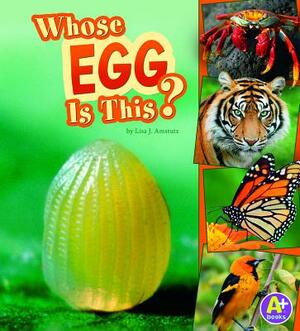 Whose Egg Is This? by Lisa J. Amstutz