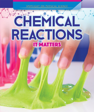 Chemical Reactions: It Matters by Rachael Morlock