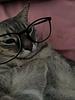 sis_alia's profile picture