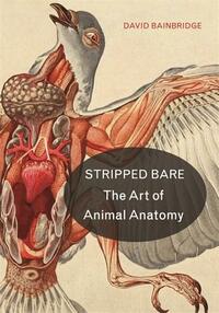 Stripped Bare: The Art of Animal Anatomy by David Bainbridge