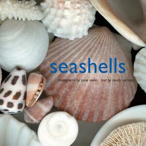Seashells by Sandy Carlson, Josie Iselin