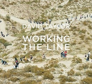 David Taylor: Working the Line by David Taylor, Luis Alberto Urrea