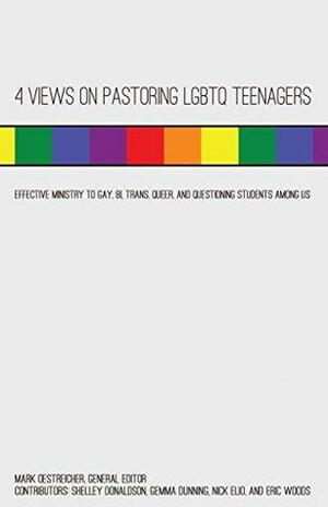 4 Views on Pastoring LGBTQ Teenagers: Effective Ministry to Gay, Bi, Trans, Queer, and Questioning Students Among Us by Nick Elio, Shelley Donaldson, Mark Oestriecher, Eric Woods, Gemma Dunning