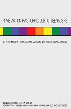 4 Views on Pastoring LGBTQ Teenagers: Effective Ministry to Gay, Bi, Trans, Queer, and Questioning Students Among Us by Nick Elio, Shelley Donaldson, Eric Woods, Gemma Dunning, Mark Oestriecher