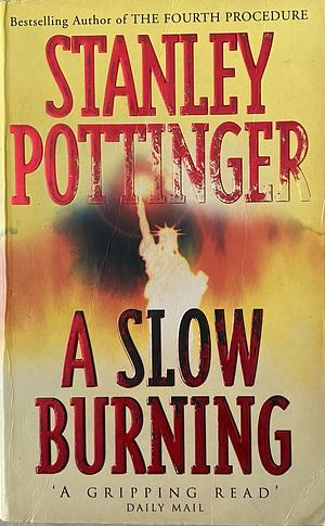 A Slow Burning by Stanley Pottinger