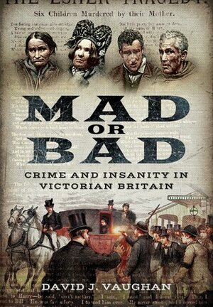 Mad or Bad: Crime and Insanity in Victorian Britain by David J. Vaughan