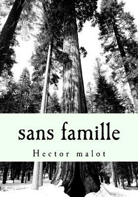 sans famille by Hector Malot