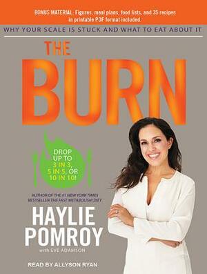 The Burn: Why Your Scale Is Stuck and What to Eat about It by Haylie Pomroy