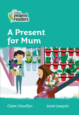 A Present for Mum: Level 3 by Claire Llewellyn