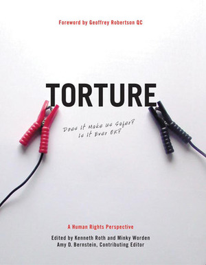 Torture: Does It Make Us Safer? Is It Ever OK?: A Human Rights Perspective by Kenneth Roth, Kenneth M. Roth, Minky Worden