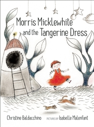 Morris Micklewhite and the Tangerine Dress by Isabelle Malenfant, Christine Baldacchino