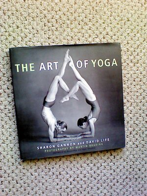 The Art of Yoga by Sharon Gannon, David Life, Martin Brading