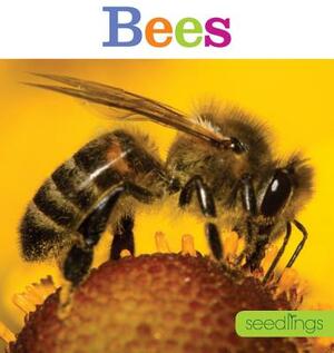 Seedlings: Bees by Aaron Frisch