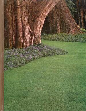 Lawns and Ground Covers by James Underwood Crockett