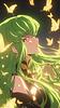 hadara's profile picture